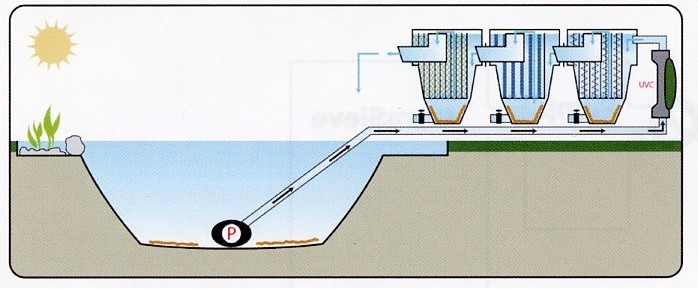 bottom-drain-ejemplo
