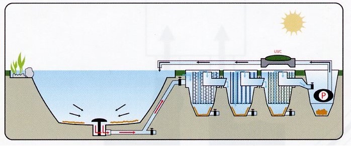 desague-bottom-drain