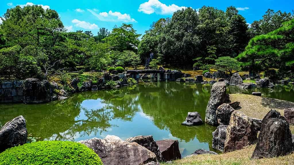 agua-verde-estanque-jardin