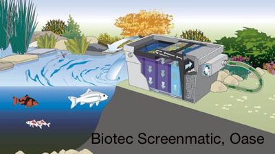 Biotec Screenmatic, Oase