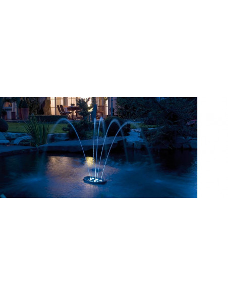 Water Starlet Oase
