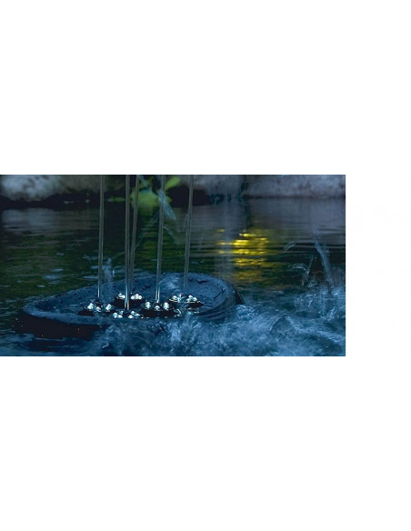 Water Starlet Oase