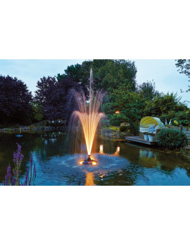 Pond Jet, ejemplo