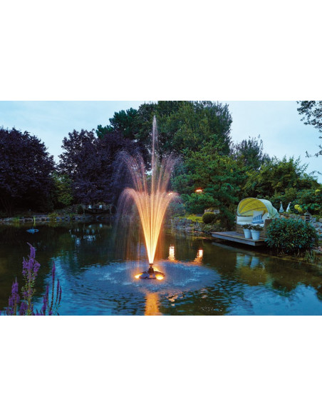 Pond Jet, ejemplo