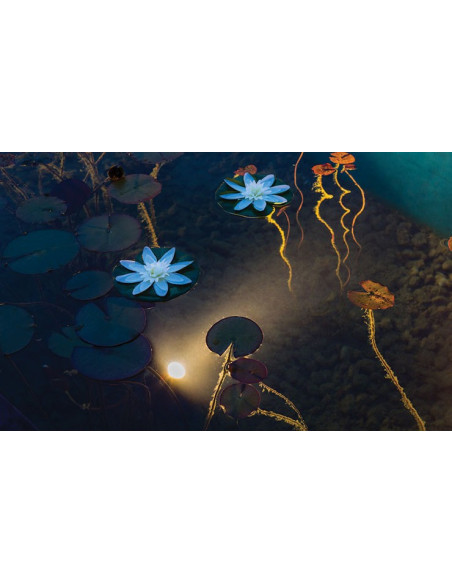 Aqualight 300