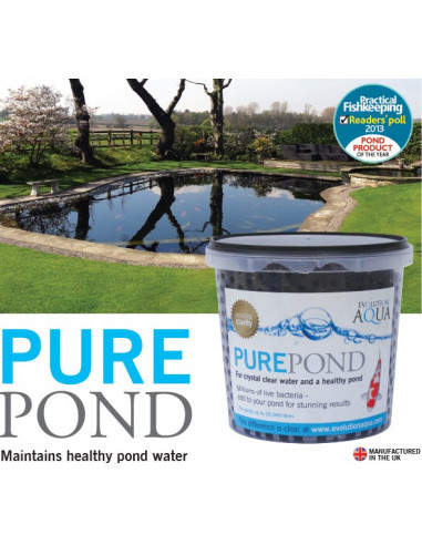 Pure Pond