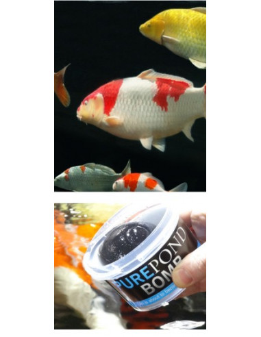 PurePond Bomb