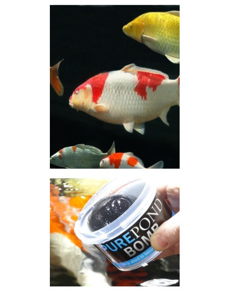 PurePond Bomb