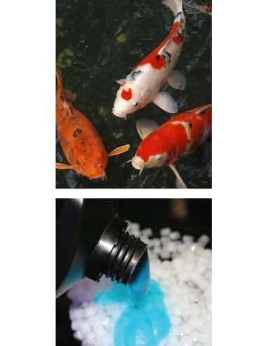 Pure+ Gel de bacterias