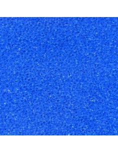Esponja 50x50x5 20ppi