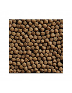 Germen de trigo 15kg - 6mm