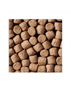 Astax 15kg - 6mm