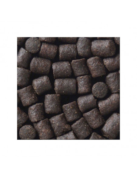 Pienso esturiones 2kg