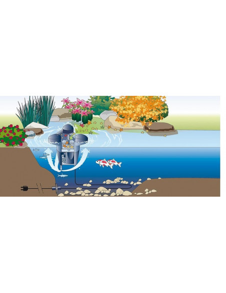 SwimSkim 25
