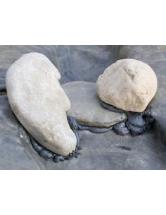 Landscaping foam 2