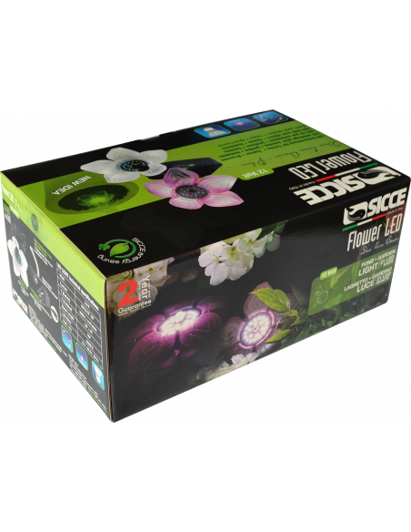Led Flower caja
