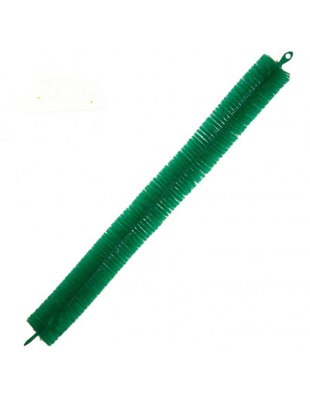 Escobilla desove