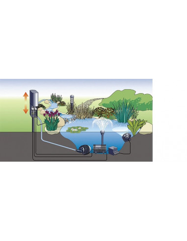 InScenio esquema ejemplo uso