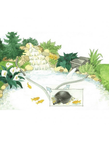 Pondomax paisaje