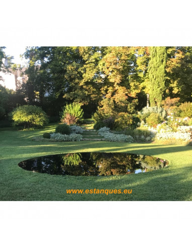 Estanque tratado con Bio black