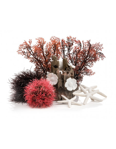 biOrb Kit decorativo 15L Bosque rojo