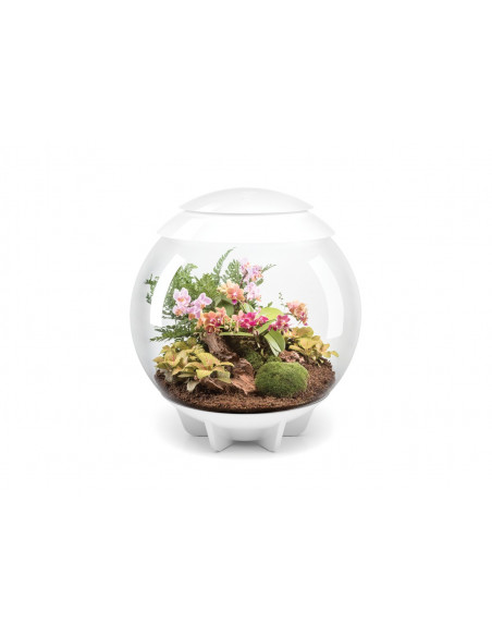 biOrb AIR blanco con diferentes plantas