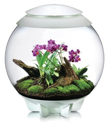 biOrb AIR blanco con flores lilas