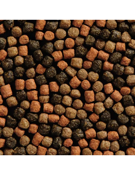Alimento Koi Mix