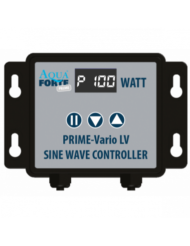 Bomba Aquaforte DM-LV 10000 a 12V para estanques y piscinas naturales