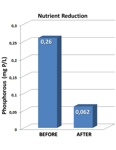 Gráfico de recucción de fosfatos