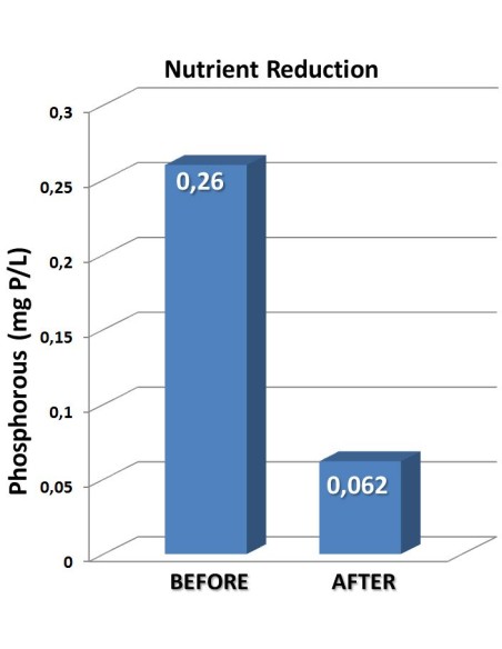 Gráfico de recucción de fosfatos