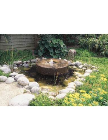 ejemplo de surtidor fuente