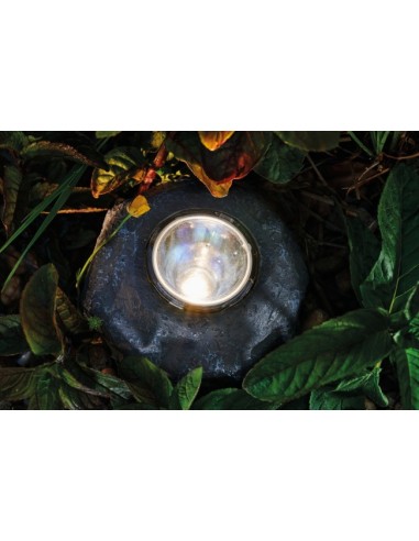 Pontec PondoStar LED Rocklight Set 3 un solo foco colocado entre plantas