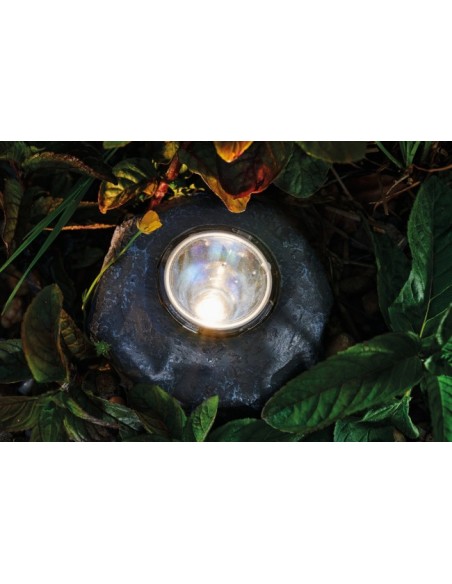 Pontec PondoStar LED Rocklight Set 3 un solo foco colocado entre plantas